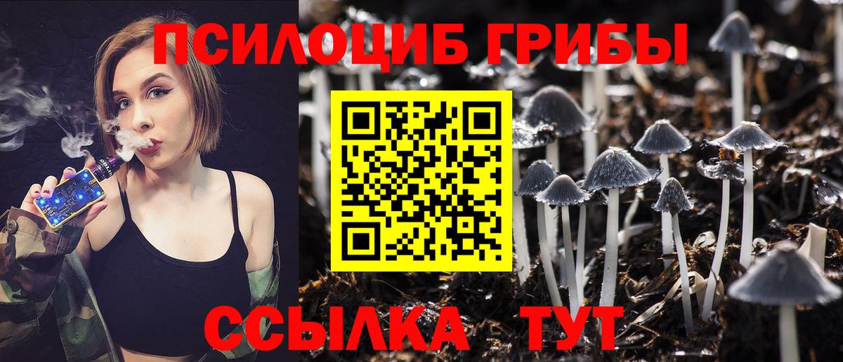 Галлюциногенные грибы Psilocybe  Вход с VPN  Тимашёвск 